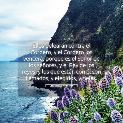 Picture 05 - Apocalipsis 17:14 RVA - Ellos pelearán contra el Cordero, y el Cordero - Bible Verse Picture