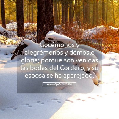 Picture 05 - Apocalipsis 19:7 RVA - Gocémonos y alegrémonos y démosle gloria; - Bible Verse Picture