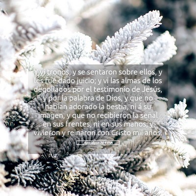 Picture 05 - Apocalipsis 20:4 RVA - Y vi tronos, y se sentaron sobre ellos, y les - Bible Verse Picture