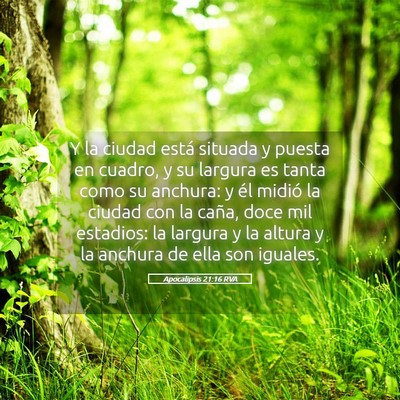 Picture 05 - Apocalipsis 21:16 RVA - Y la ciudad está situada y puesta en cuadro, y - Bible Verse Picture
