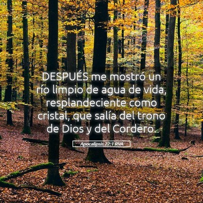 Picture 05 - Apocalipsis 22:1 RVA - DESPUÉS me mostró un río limpio de agua de - Bible Verse Picture