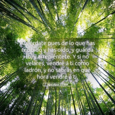 Picture 05 - Apocalipsis 3:3 RVA - Acuérdate pues de lo que has recibido y has - Bible Verse Picture