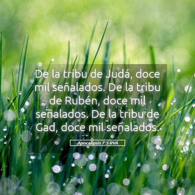 Picture 05 - Apocalipsis 7:5 RVA - De la tribu de Judá, doce mil señalados. De la - Bible Verse Picture