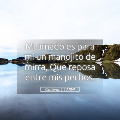Picture 05 - Cantares 1:13 RVA - Mi amado es para mí un manojito de mirra, Que - Bible Verse Picture