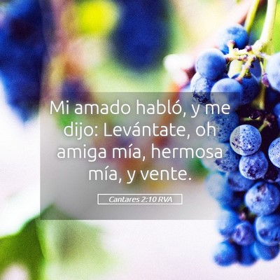 Picture 05 - Cantares 2:10 RVA - Mi amado habló, y me dijo: Levántate, oh amiga - Bible Verse Picture