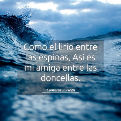 Picture 05 - Cantares 2:2 RVA - Como el lirio entre las espinas, Así es mi amiga - Bible Verse Picture