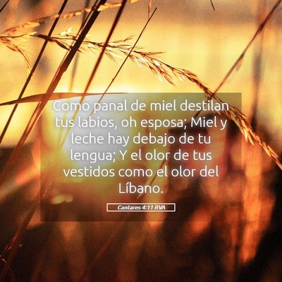 Picture 05 - Cantares 4:11 RVA - Como panal de miel destilan tus labios, oh - Bible Verse Picture