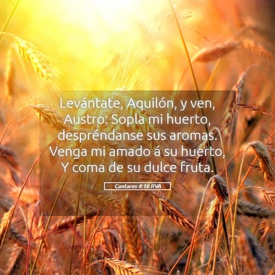 Picture 05 - Cantares 4:16 RVA - Levántate, Aquilón, y ven, Austro: Sopla mi - Bible Verse Picture
