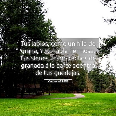 Picture 05 - Cantares 4:3 RVA - Tus labios, como un hilo de grana, Y tu habla - Bible Verse Picture