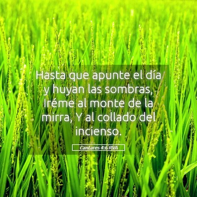 Picture 05 - Cantares 4:6 RVA - Hasta que apunte el día y huyan las sombras, - Bible Verse Picture