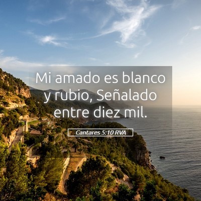 Picture 05 - Cantares 5:10 RVA - Mi amado es blanco y rubio, Señalado entre diez - Bible Verse Picture