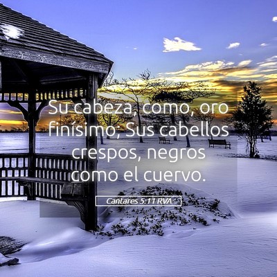Picture 05 - Cantares 5:11 RVA - Su cabeza, como, oro finísimo; Sus cabellos - Bible Verse Picture