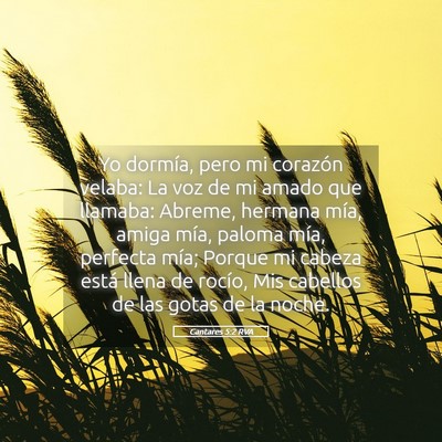 Picture 05 - Cantares 5:2 RVA - Yo dormía, pero mi corazón velaba: La voz de mi - Bible Verse Picture