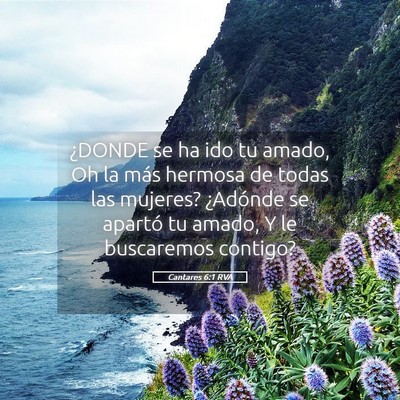 Picture 05 - Cantares 6:1 RVA - ¿DONDE se ha ido tu amado, Oh la más hermosa de - Bible Verse Picture