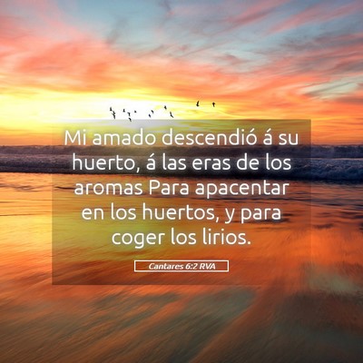 Picture 05 - Cantares 6:2 RVA - Mi amado descendió á su huerto, á las eras de - Bible Verse Picture