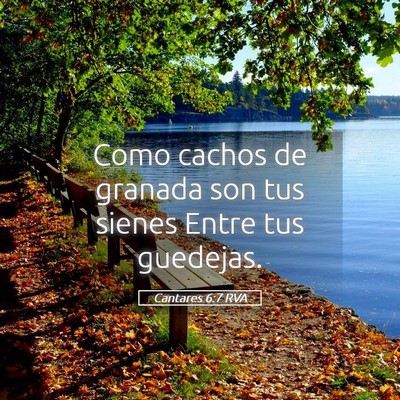 Picture 05 - Cantares 6:7 RVA - Como cachos de granada son tus sienes Entre tus - Bible Verse Picture