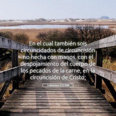 Picture 05 - Colosenses 2:11 RVA - En el cual también sois circuncidados de - Bible Verse Picture