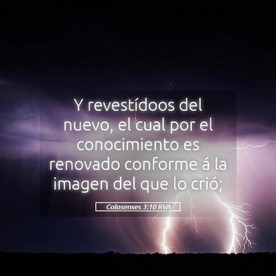 Picture 05 - Colosenses 3:10 RVA - Y revestídoos del nuevo, el cual por el - Bible Verse Picture