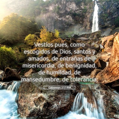 Picture 05 - Colosenses 3:12 RVA - Vestíos pues, como escogidos de Dios, santos y - Bible Verse Picture