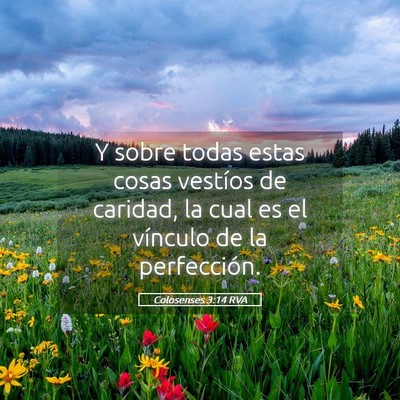 Picture 05 - Colosenses 3:14 RVA - Y sobre todas estas cosas vestíos de caridad, la - Bible Verse Picture