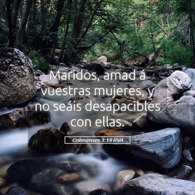 Picture 05 - Colosenses 3:19 RVA - Maridos, amad á vuestras mujeres, y no seáis - Bible Verse Picture