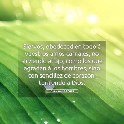 Picture 05 - Colosenses 3:22 RVA - Siervos, obedeced en todo á vuestros amos - Bible Verse Picture