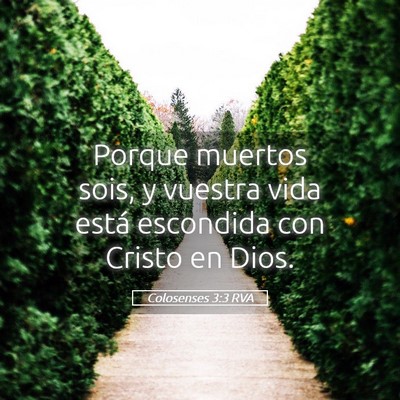 Picture 05 - Colosenses 3:3 RVA - Porque muertos sois, y vuestra vida está - Bible Verse Picture