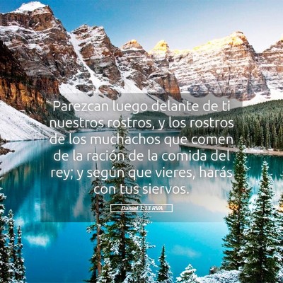 Picture 05 - Daniel 1:13 RVA - Parezcan luego delante de ti nuestros rostros, y - Bible Verse Picture