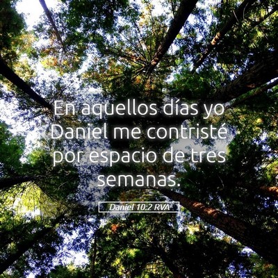 Picture 05 - Daniel 10:2 RVA - En aquellos días yo Daniel me contristé por - Bible Verse Picture