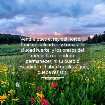 Picture 05 - Daniel 11:15 RVA - Vendrá pues el rey del norte, y fundará - Bible Verse Picture