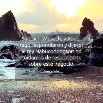 Picture 05 - Daniel 3:16 RVA - Sadrach, Mesach, y Abed-nego respondieron y - Bible Verse Picture