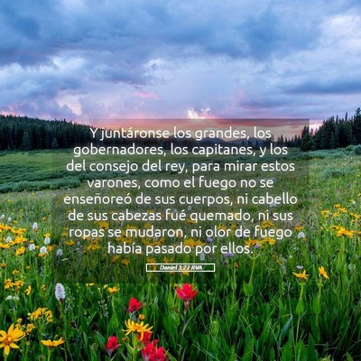 Picture 05 - Daniel 3:27 RVA - Y juntáronse los grandes, los gobernadores, los - Bible Verse Picture