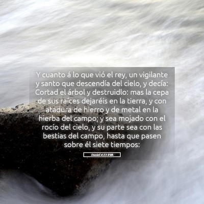 Picture 05 - Daniel 4:23 RVA - Y cuanto á lo que vió el rey, un vigilante y - Bible Verse Picture