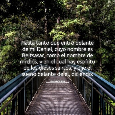 Picture 05 - Daniel 4:8 RVA - Hasta tanto que entró delante de mí Daniel, - Bible Verse Picture
