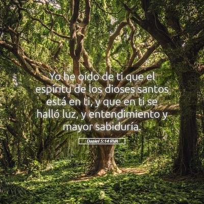 Picture 05 - Daniel 5:14 RVA - Yo he oído de ti que el espíritu de los dioses - Bible Verse Picture