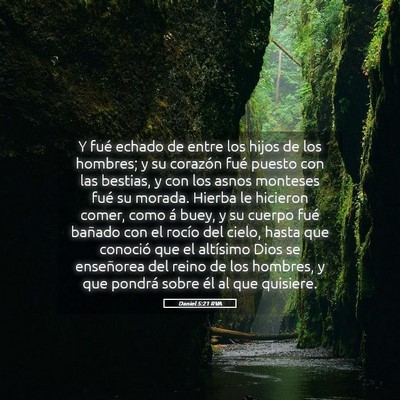 Picture 05 - Daniel 5:21 RVA - Y fué echado de entre los hijos de los hombres; - Bible Verse Picture