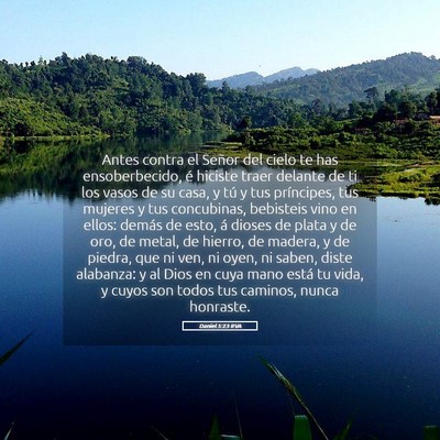 Picture 05 - Daniel 5:23 RVA - Antes contra el Señor del cielo te has - Bible Verse Picture