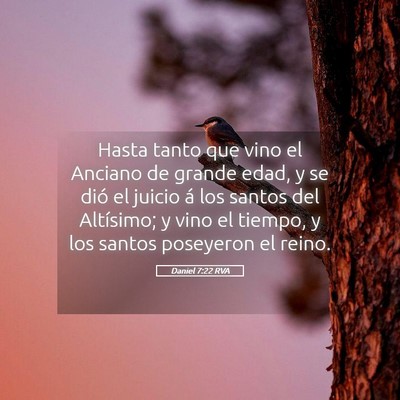 Picture 05 - Daniel 7:22 RVA - Hasta tanto que vino el Anciano de grande edad, y - Bible Verse Picture