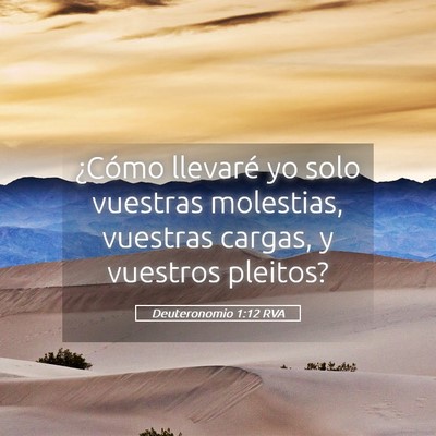 Picture 05 - Deuteronomio 1:12 RVA - ¿Cómo llevaré yo solo vuestras molestias, - Bible Verse Picture