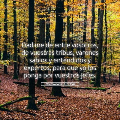 Picture 05 - Deuteronomio 1:13 RVA - Dad me de entre vosotros, de vuestras tribus, - Bible Verse Picture