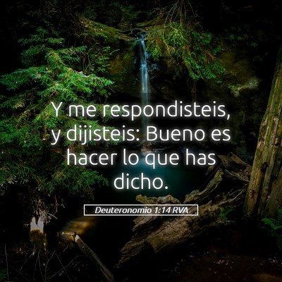 Picture 05 - Deuteronomio 1:14 RVA - Y me respondisteis, y dijisteis: Bueno es hacer - Bible Verse Picture