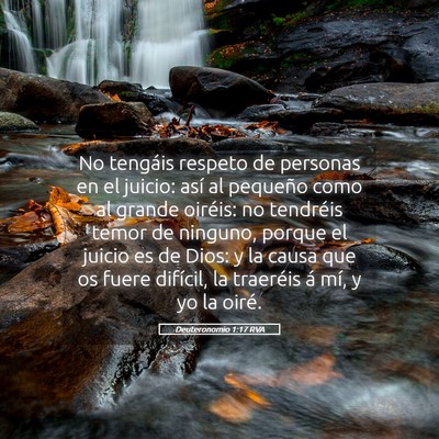 Picture 05 - Deuteronomio 1:17 RVA - No tengáis respeto de personas en el juicio: - Bible Verse Picture