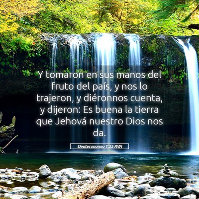 Picture 05 - Deuteronomio 1:25 RVA - Y tomaron en sus manos del fruto del país, y nos - Bible Verse Picture