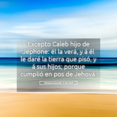 Picture 05 - Deuteronomio 1:36 RVA - Excepto Caleb hijo de Jephone: él la verá, y á - Bible Verse Picture