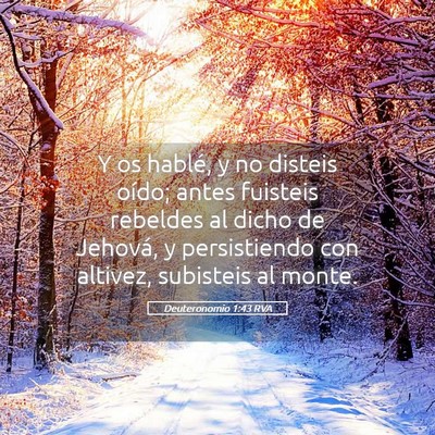 Picture 05 - Deuteronomio 1:43 RVA - Y os hablé, y no disteis oído; antes fuisteis - Bible Verse Picture