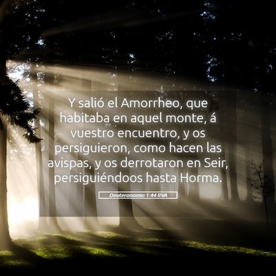 Picture 05 - Deuteronomio 1:44 RVA - Y salió el Amorrheo, que habitaba en aquel - Bible Verse Picture