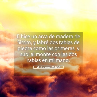 Picture 05 - Deuteronomio 10:3 RVA - E hice un arca de madera de Sittim, y labré dos - Bible Verse Picture