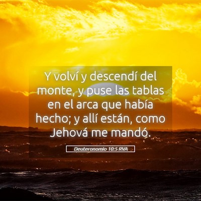 Picture 05 - Deuteronomio 10:5 RVA - Y volví y descendí del monte, y puse las tablas - Bible Verse Picture