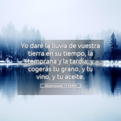 Picture 05 - Deuteronomio 11:14 RVA - Yo daré la lluvia de vuestra tierra en su - Bible Verse Picture