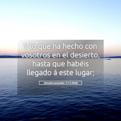 Picture 05 - Deuteronomio 11:5 RVA - Y lo que ha hecho con vosotros en el desierto, - Bible Verse Picture